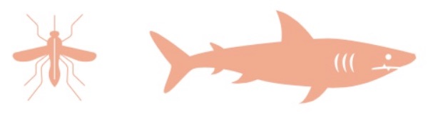 Moustique ou requin ?