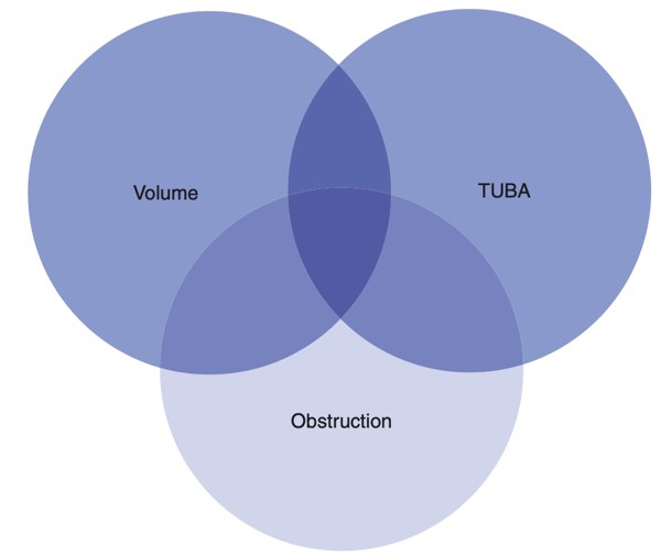 Diagramme de Halt - Tuba : Troubles urinaires du bas appareil
