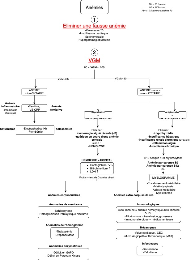 anemie-recommandation-dpc-medecine-generale