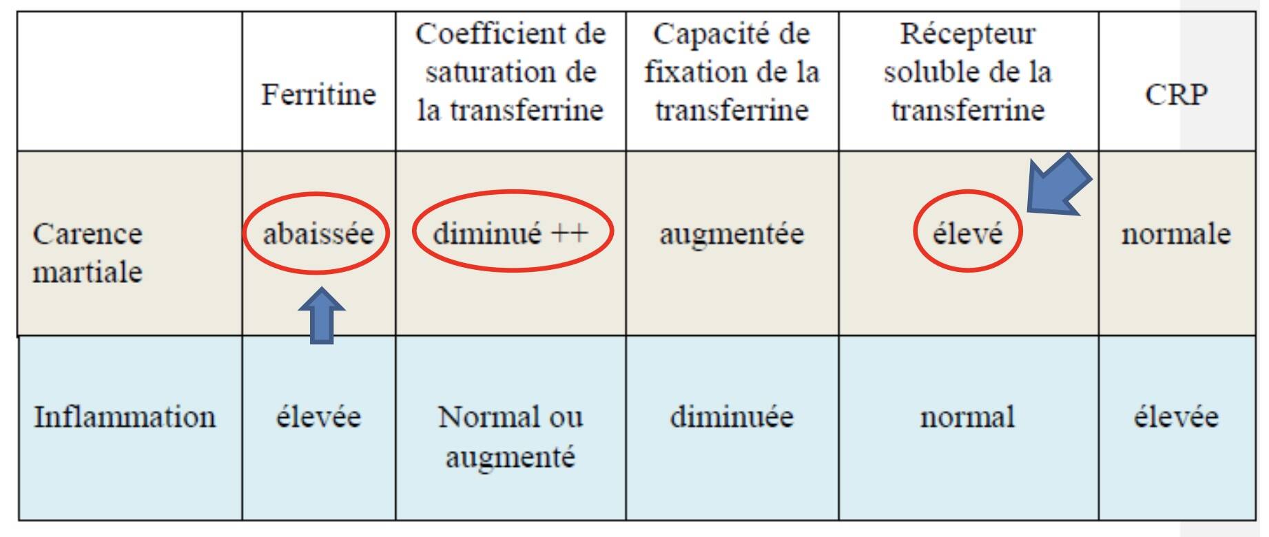 parametre-bilan-fer-dpc-mg