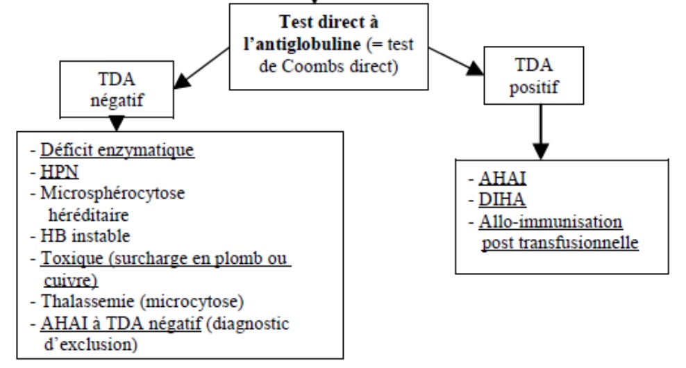 test-coombs-direct-dpc-mg