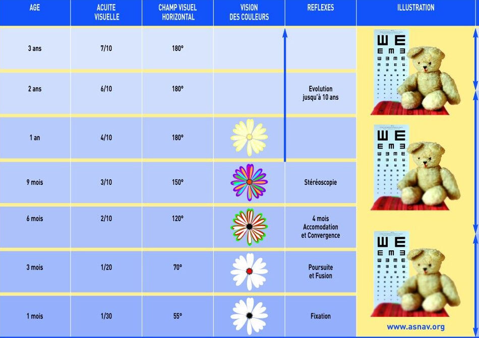 Examen vision enfant 