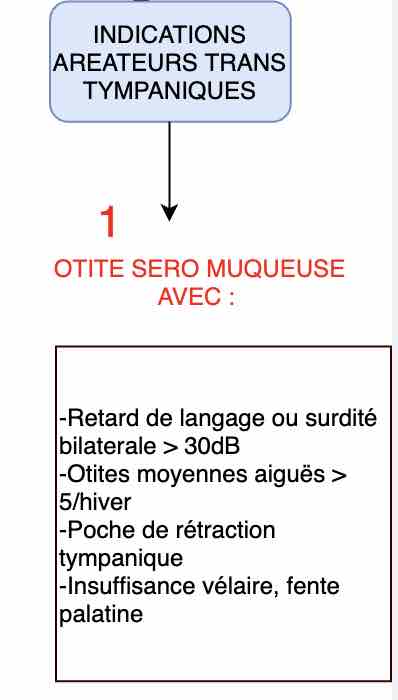 aerateur-trans-tympanique-indication-de-pose-orl-recommandations-has