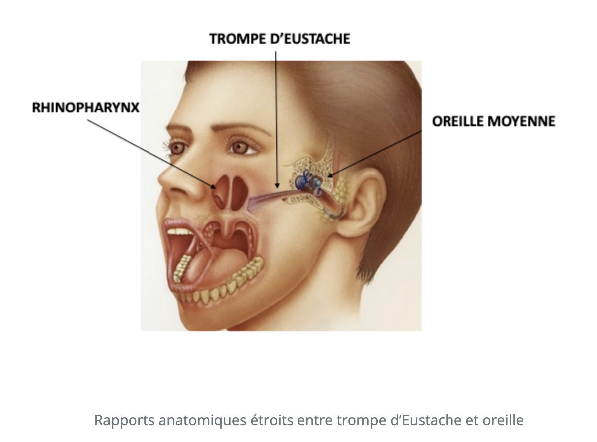 otite-sereuse-enfant-rhinopharynx