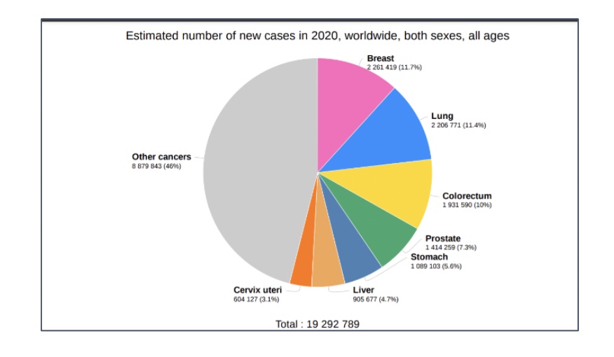 Cancer-sein-repartition-mondiale-selon-pays