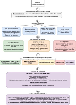 Recommandation cheville douloureuse aiguë