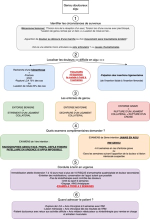 Recommandation Genoux Douloureux Aigu