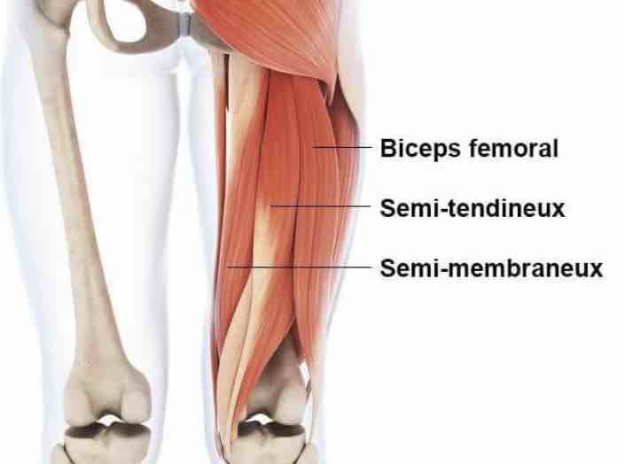 Muscle-ischiojambier-claquage-dpc-lesion-musculaire