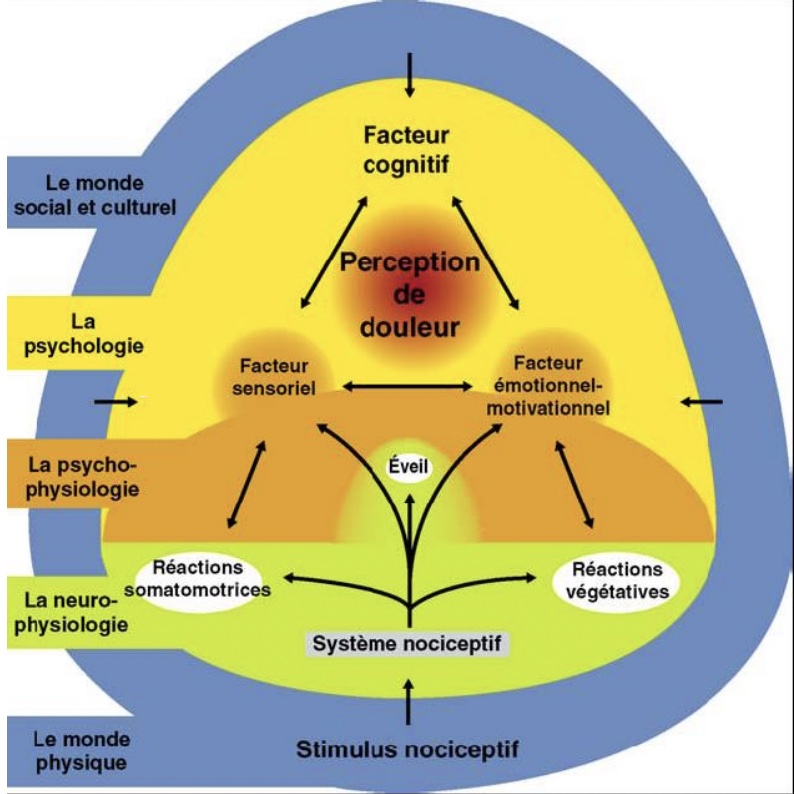 biospsychosocial-douleur-dpc-medecine-generale