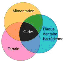 Physiopathologie-carie