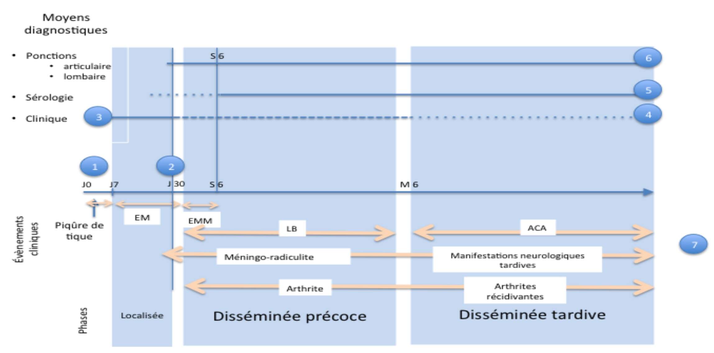 moyens-diagnostiques