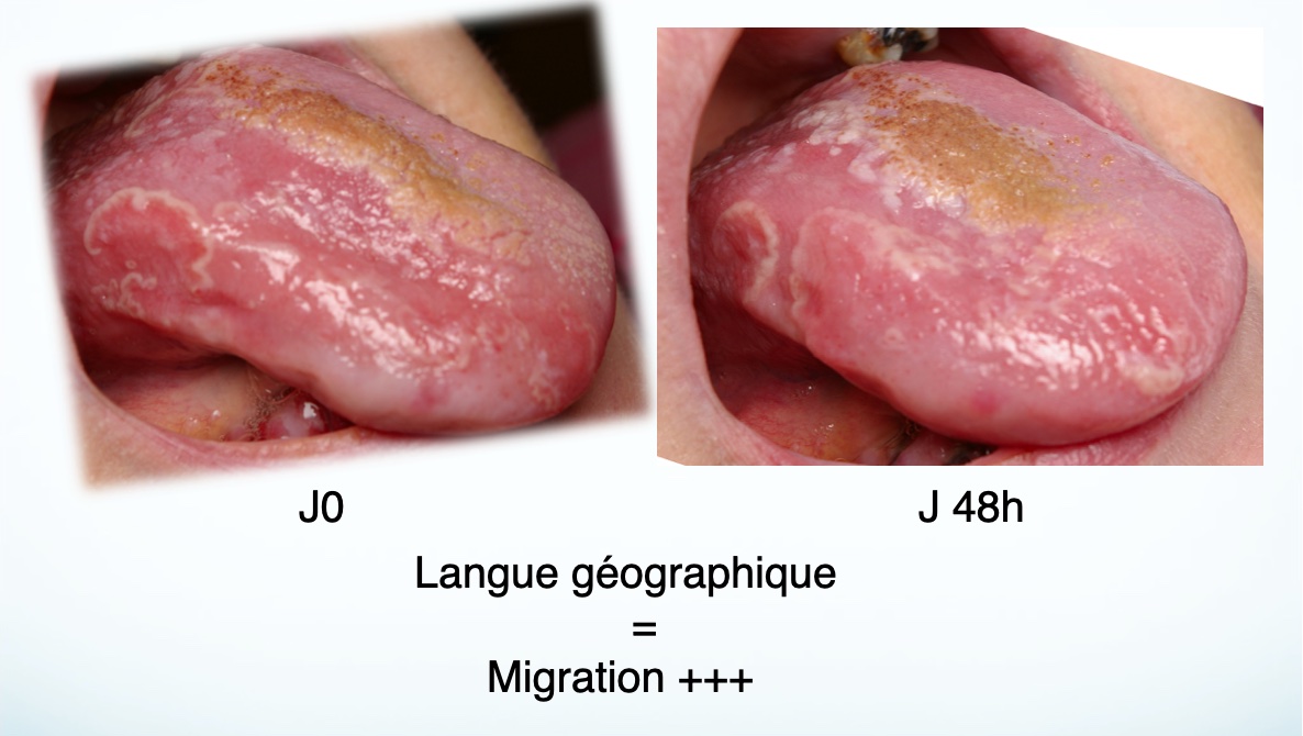 langue-geographique-3