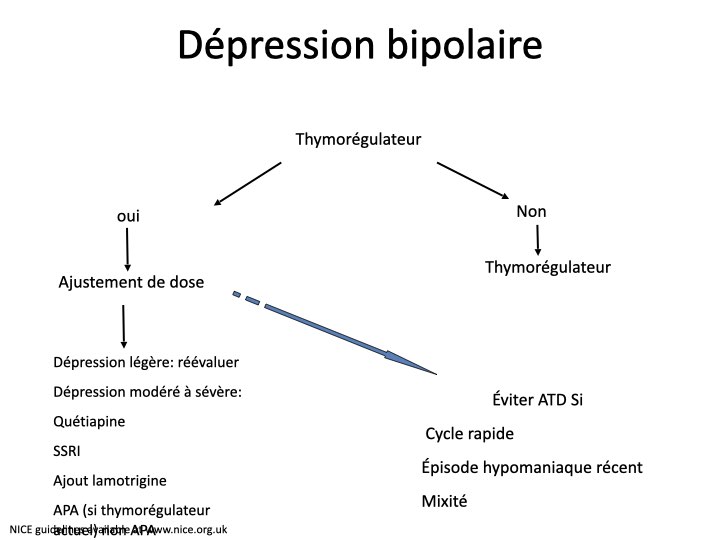 bipo-49