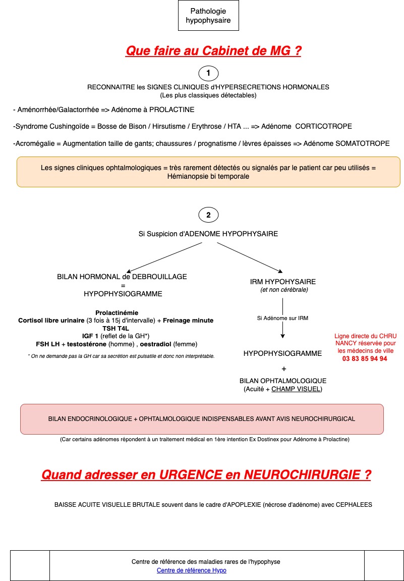 fiche-hypophyse-reco