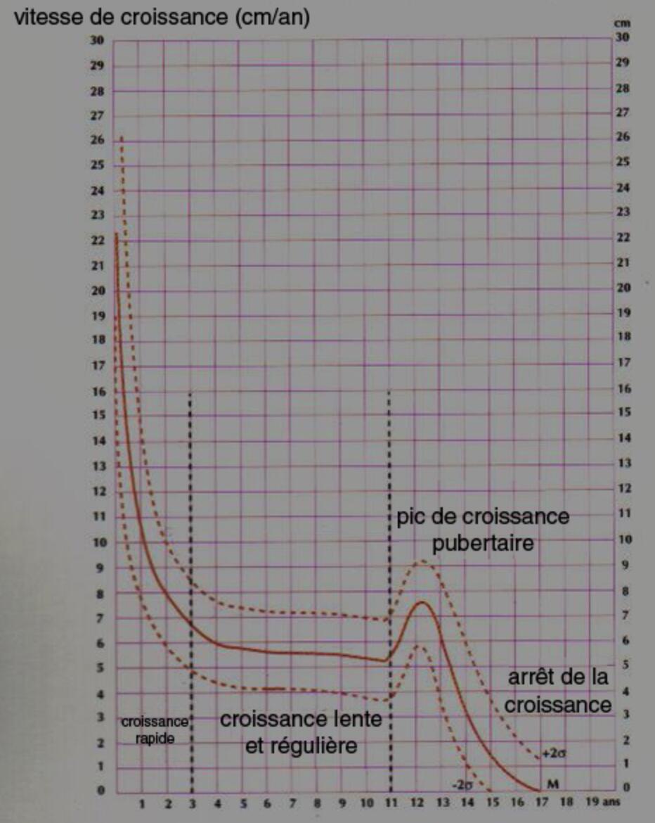 croissance-enfant