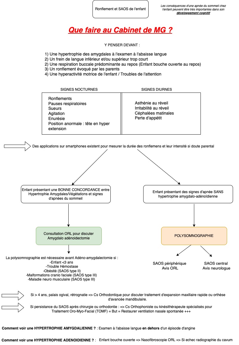 fiche-recommandation-saos