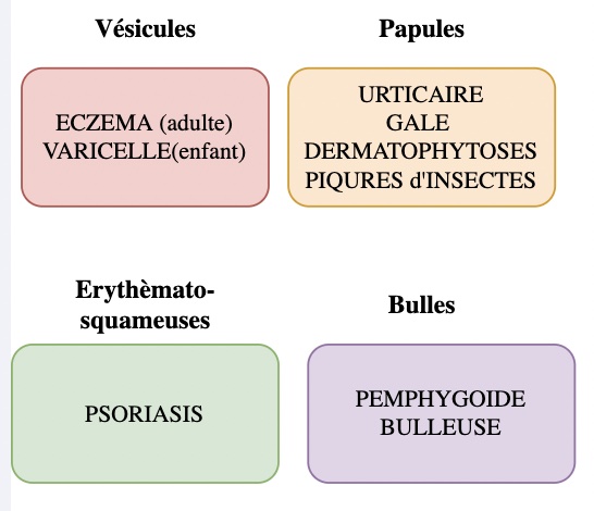 cause-dermato-prurit