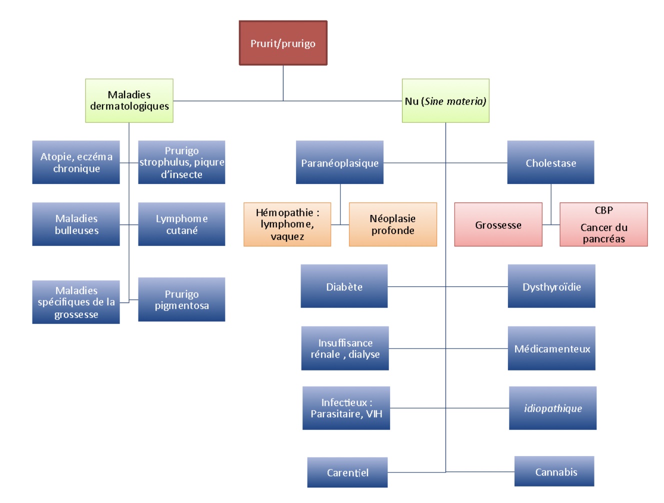 causes-de-prurit-sine-materia