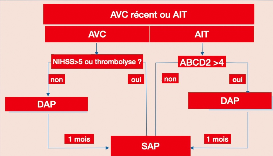 avc-1mois-post-avc