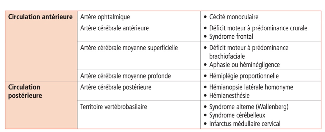 territoire-arteriel-avc