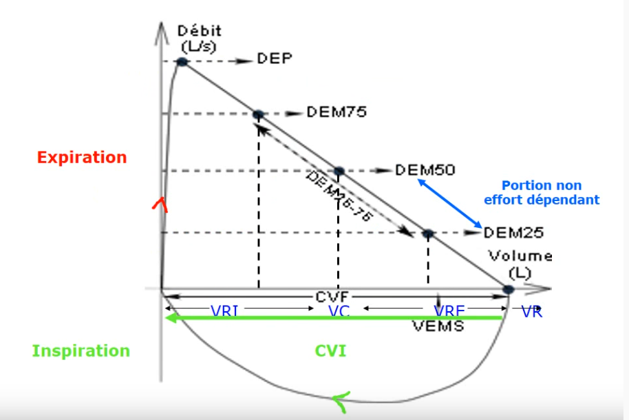 Courbe débit-volume
