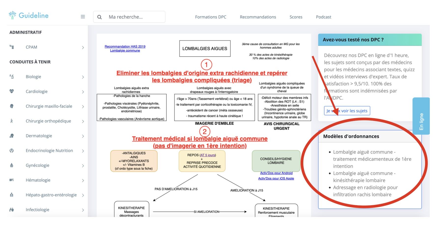 modèle ordonnance type