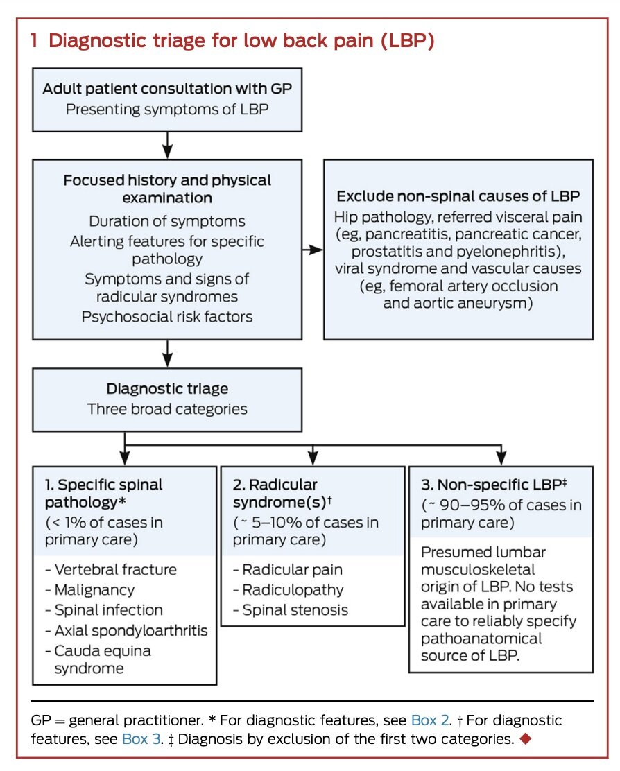 Triage lombalgie