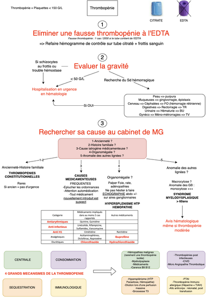 Conduite à tenir devant une thrombopénie