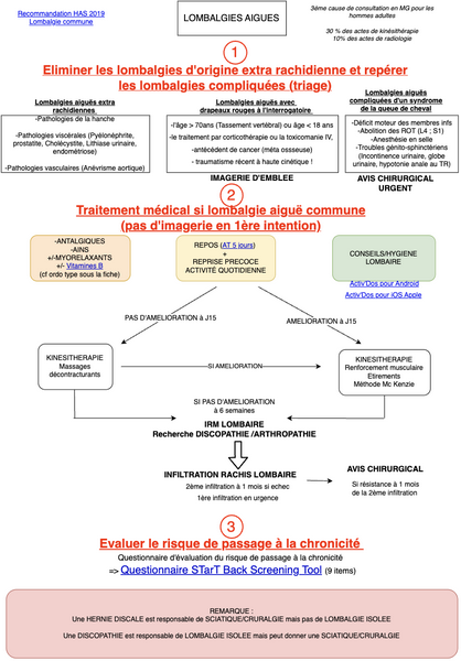 Conduite à tenir en cas de Lombalgies