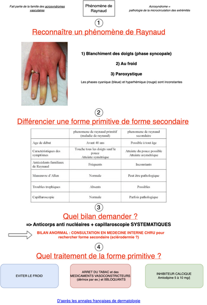 Conduite à tenir devant un phénomène de Raynaud