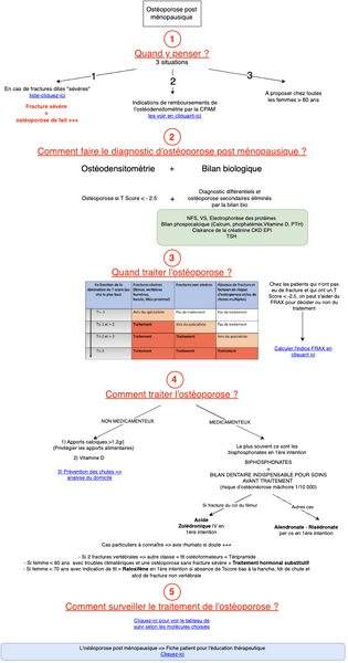 Osteoporose 