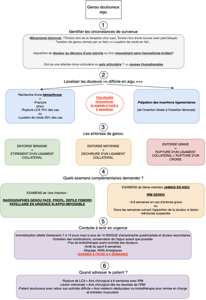 Conduite à tenir devant un genou douloureux aigu