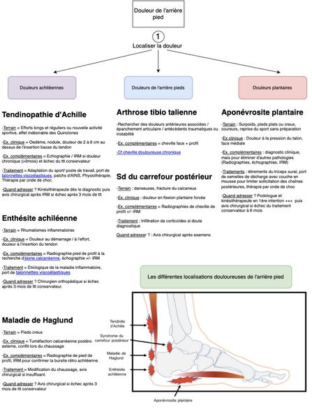 Conduite à tenir devant une douleur de l'arrière pied