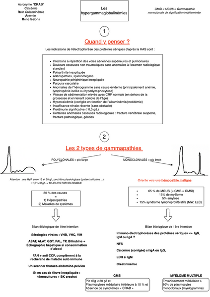 Conduite à tenir devant une hypergammaglobulinémie 