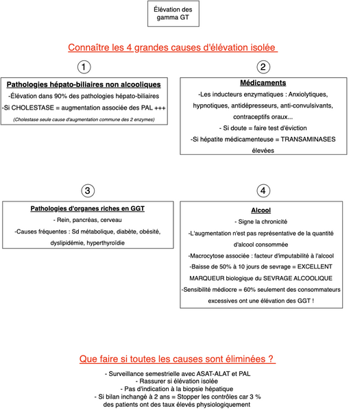 Conduite à tenir devant une élévation isolée des gamma GT