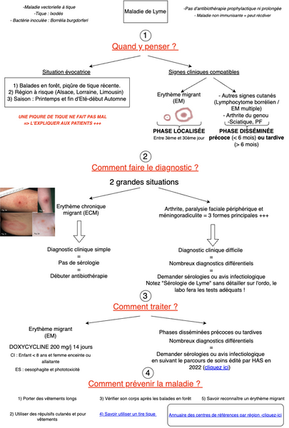 Conduite à tenir devant une maladie de Lyme