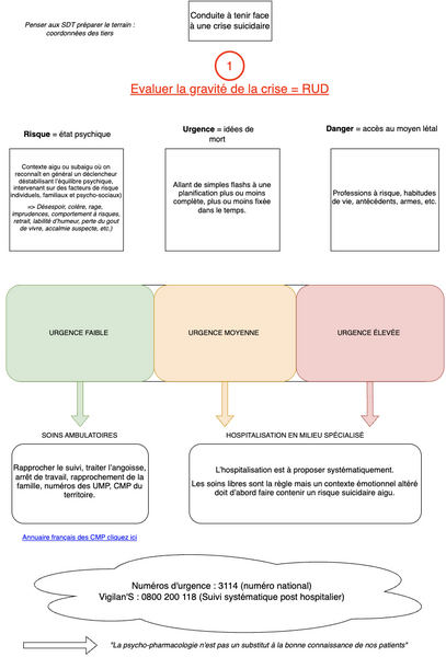 Crise suicidaire 