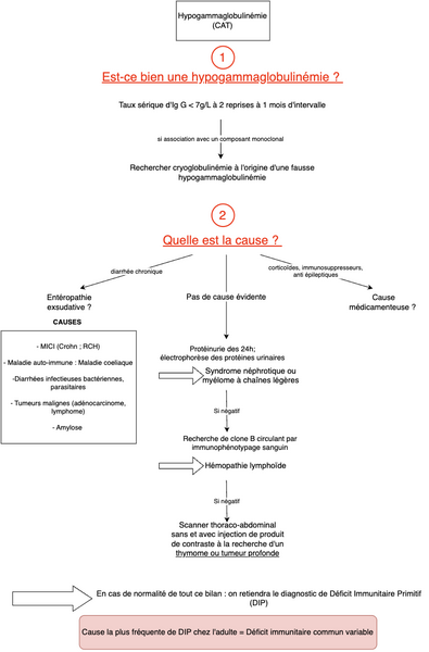 Hypogammaglobulinémie
