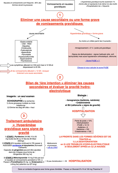 Vomissements pendant la grossesse