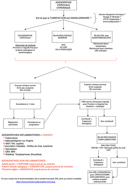 Conduite à tenir en cas d'Adénopathie Cervicale Chronique