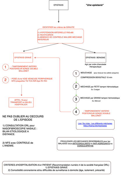 Conduite à tenir en cas d'Epistaxis