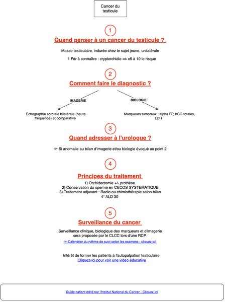 Cancer du testicule