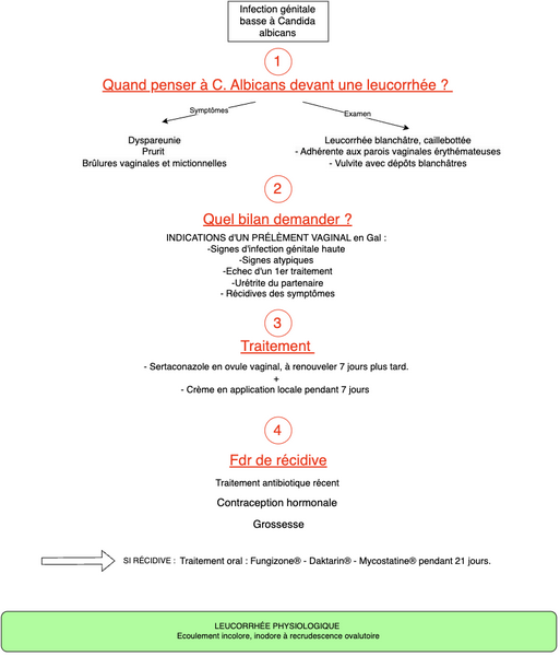 Infection génitale basse à Candida Albicans