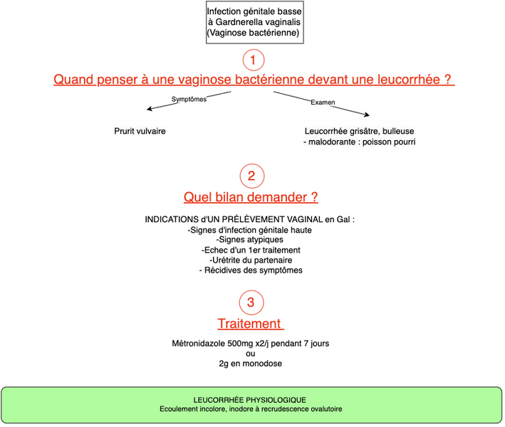 Infection génitale basse à Gardnerella vaginalis 