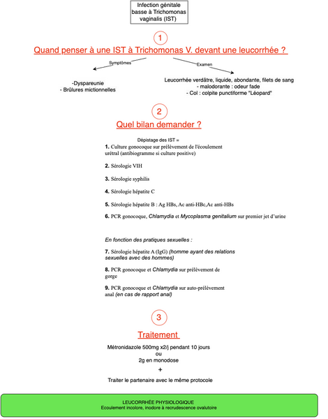 Infection génitale basse à Trichomonas Vaginalis (IST) 