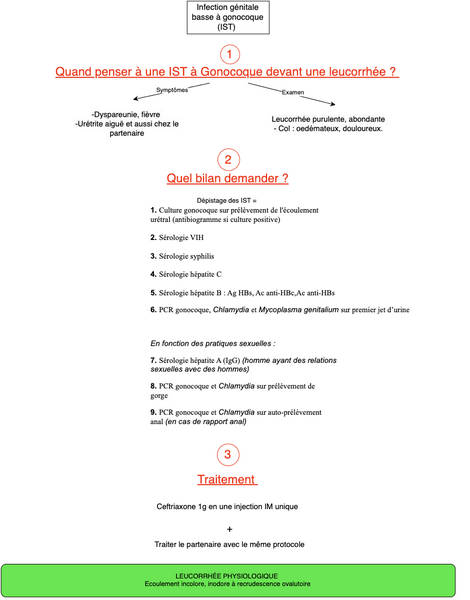 Infection génitale basse à gonocoque (IST)