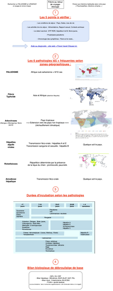 Fièvre au retour de voyage - Etiologie