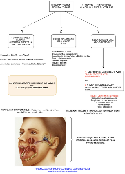 Conduite à tenir en cas de Rhinopharyngites Aiguës Enfant