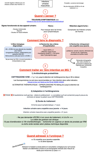 Infections urinaires masculines (Prostatite)