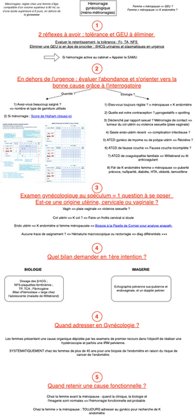 Hémorragie génitale : ménorragies-métrorragies 